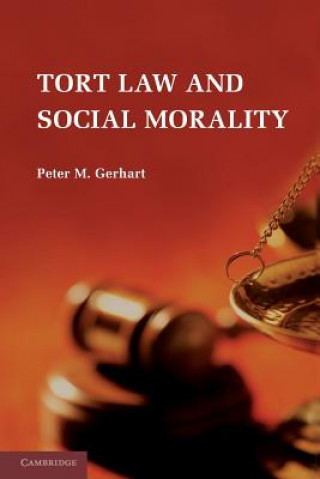 Книга Tort Law and Social Morality Peter M Gerhart