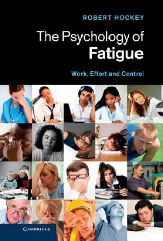 Könyv Psychology of Fatigue Robert Hockey