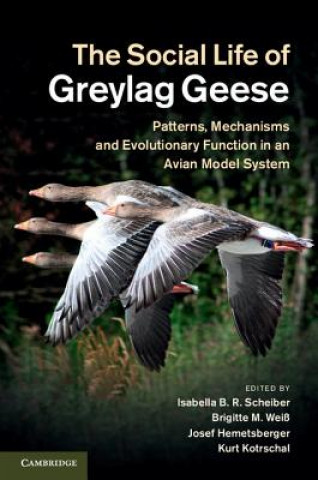 Carte Social Life of Greylag Geese Isabella B R Scheiber