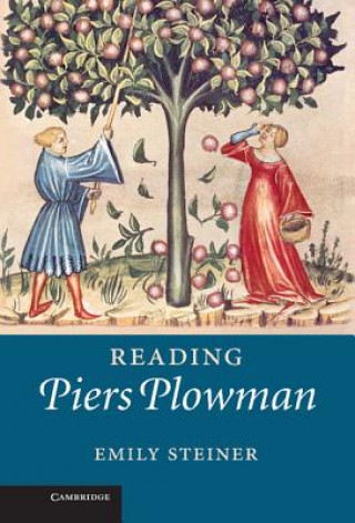 Buch Reading Piers Plowman Emily Steiner