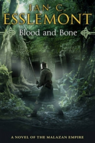Kniha Blood and Bone Esslemont Ian Cameron
