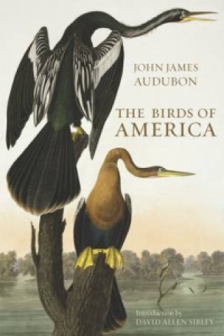Book Birds of America John-James Audubon