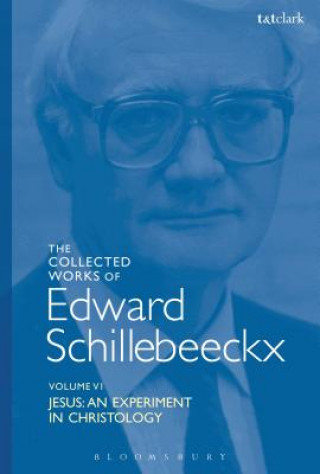 Knjiga Collected Works of Edward Schillebeeckx Volume 6 Edward Schillebeeckx