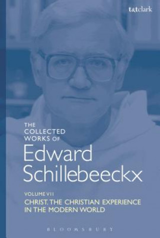 Knjiga Collected Works of Edward Schillebeeckx Volume 7 Edward Schillebeeckx