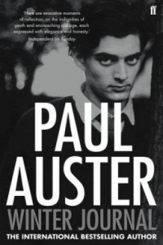 Book Winter Journal Paul Auster