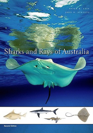 Kniha Sharks and Rays of Australia Peter R Last