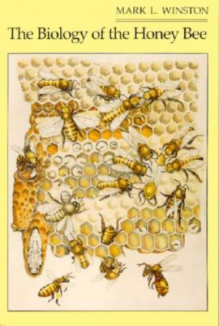 Kniha Biology of the Honey Bee Mark L Winston