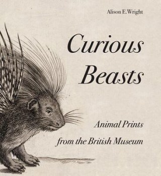 Kniha Curious Beasts Alison Wright
