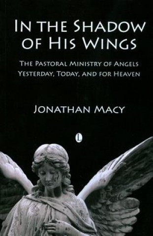 Könyv In the Shadow of his Wings Johnathan Macy