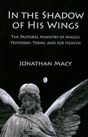 Book In the Shadow of his Wings Johnathan Macy