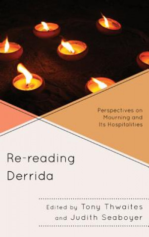 Livre Re-reading Derrida Tony Thwaites