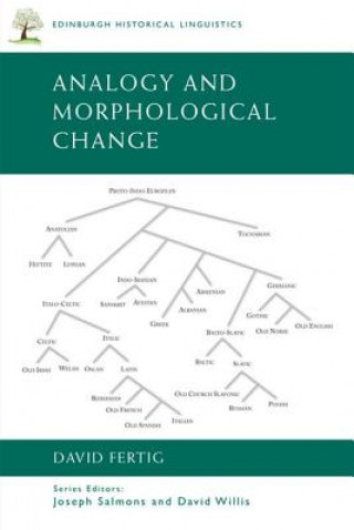 Kniha Analogy and Morphological Change David L Fertig