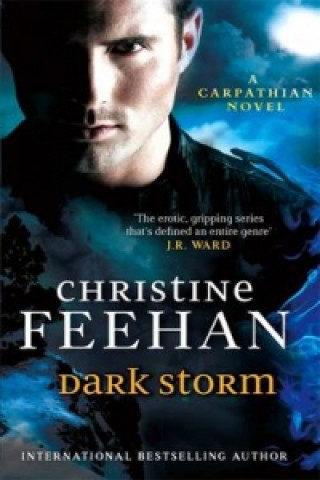 Könyv Dark Storm Christine Feehan