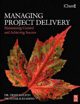 Kniha Managing Project Delivery: Maintaining Control and Achieving Success Melton