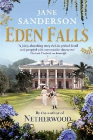 Kniha Eden Falls Jane Sanderson