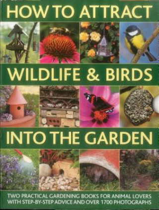 Книга How to Attract Wildlife & Birds into the Garden Christine Lavelle