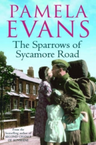 Livre Sparrows of Sycamore Road Pamela Evans