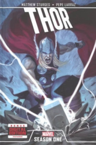 Buch Thor Matthew Sturges