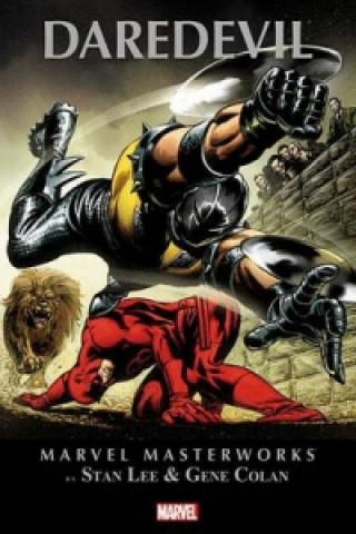 Könyv Marvel Masterworks: Daredevil - Vol. 3 Stan Lee