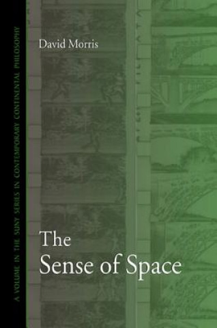 Книга Sense of Space David Morris