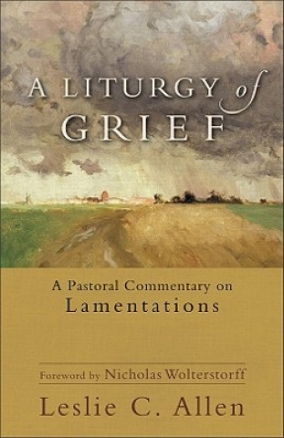 Kniha Liturgy of Grief - A Pastoral Commentary on Lamentations Leslie C. Allen