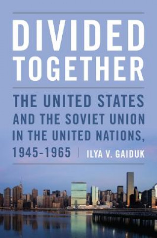 Könyv Divided Together Ilya V Gaiduk
