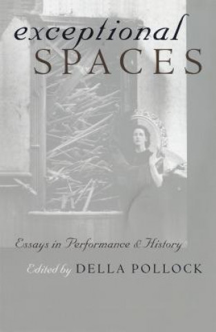 Carte Exceptional Spaces Della Pollock