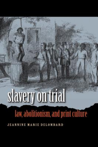 Könyv Slavery on Trial Jeannine Marie DeLombard