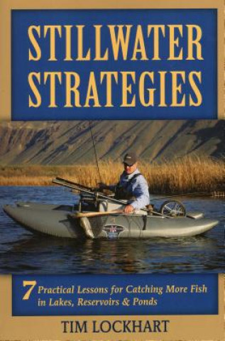 Book Stillwater Strategies Tim Lockhart