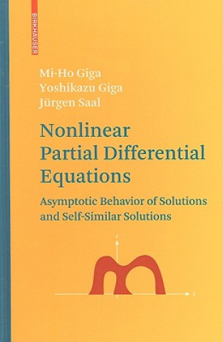 Könyv Nonlinear Partial Differential Equations Giga