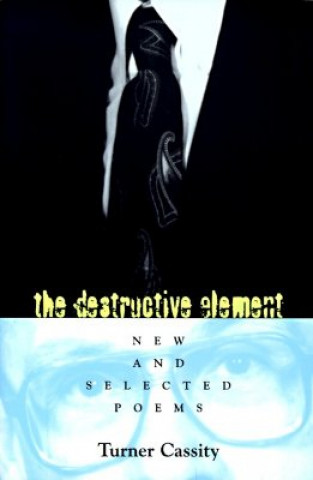 Kniha Destructive Element Turner Cassity