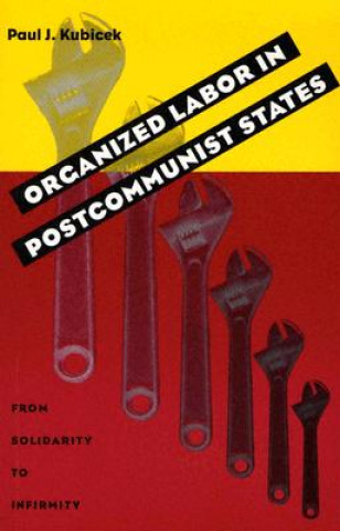 Kniha Organized Labor In Postcommunist States Paul J Kubicek