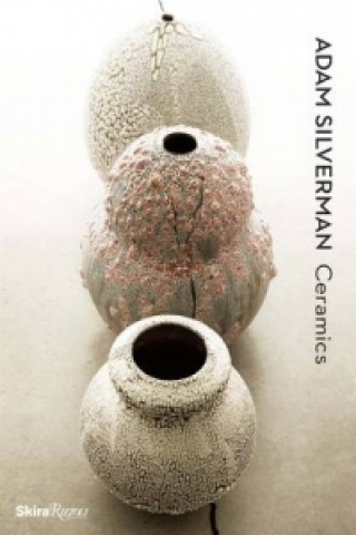Könyv Adam Silverman Ceramics Lisa Gabrielle Mark
