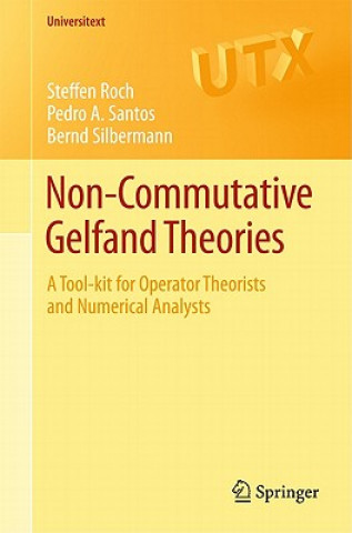 Книга Non-commutative Gelfand Theories Steffen Roch