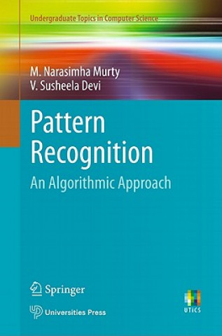 Kniha Pattern Recognition M Narasimha Murty