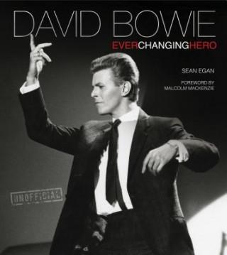 Kniha David Bowie Ian Shirley
