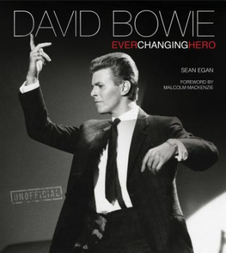 Buch David Bowie Ian Shirley