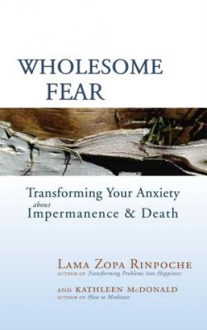 Книга Wholesome Fear Lama Zopa Rinpoche