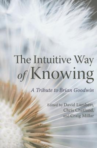 Kniha Intuitive Way of Knowing David Lambert