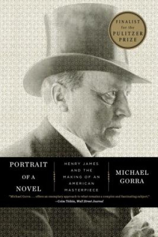 Kniha Portrait of a Novel Michael Gorra