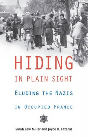 Kniha Hiding in Plain Sight Sarah Lew Miller
