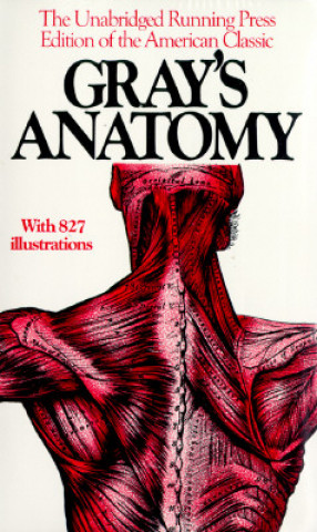 Kniha Gray's Anatomy Henry Gray