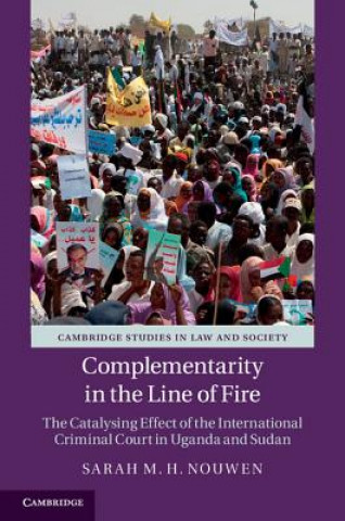 Kniha Complementarity in the Line of Fire Sarah M H Nouwen