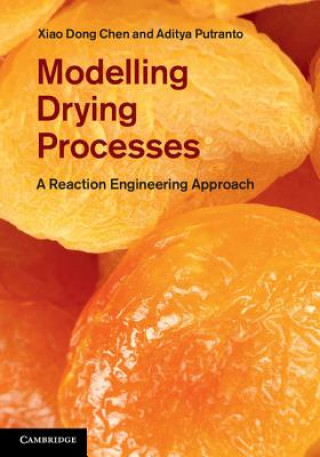 Könyv Modelling Drying Processes Xiao Dong Chen