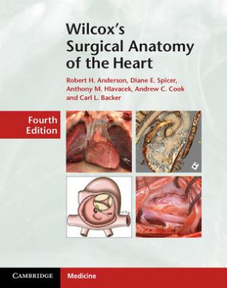 Buch Wilcox's Surgical Anatomy of the Heart Robert H Anderson