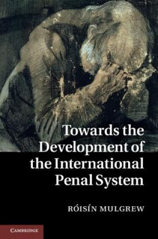 Kniha Towards the Development of the International Penal System Roisin Mulgrew
