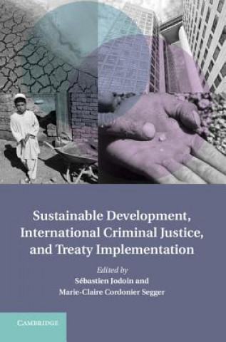 Książka Sustainable Development, International Criminal Justice, and Treaty Implementation Sebastien Jodoin