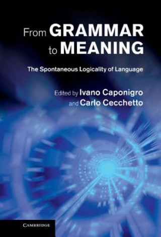 Kniha From Grammar to Meaning Ivano Caponigro