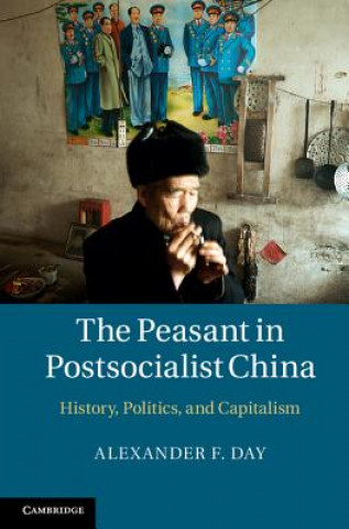 Könyv Peasant in Postsocialist China Alexander F Day