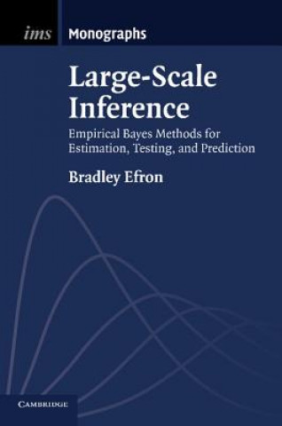 Książka Large-Scale Inference Bradley Efron